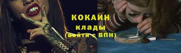 мдпв Богородицк