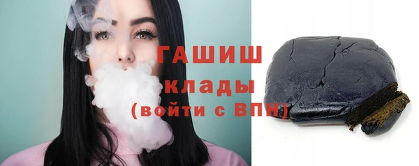 мдпв Богородицк