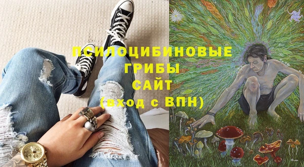 мдпв Богородицк