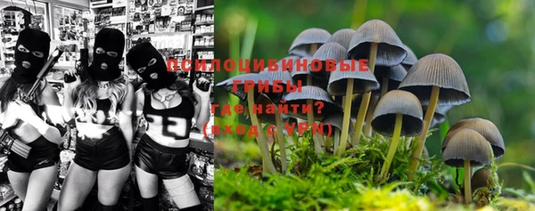 ешки Богданович
