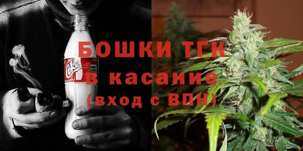 мдпв Богородицк
