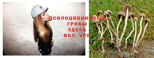 мдпв Богородицк