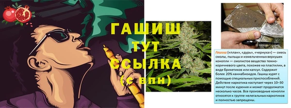 мдпв Богородицк