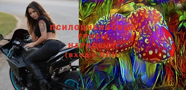 мдпв Богородицк
