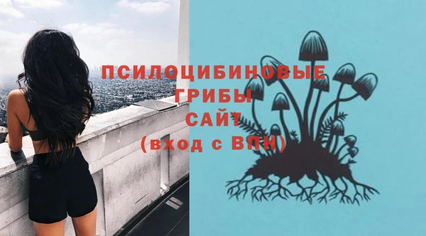 ешки Богданович