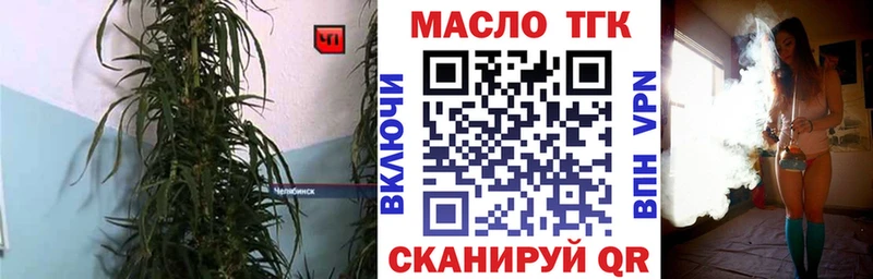 магазин продажи наркотиков  Светогорск  ТГК вейп с тгк 