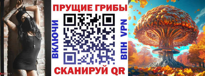 купить  сайты  Светогорск  Псилоцибиновые грибы Magic Shrooms 